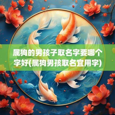 属狗的男孩子取名字要哪个字好(属狗男孩取名宜用字)