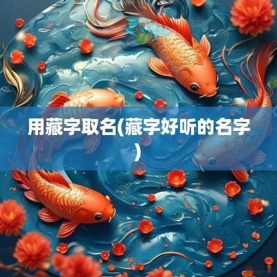 用藏字取名(藏字好听的名字)