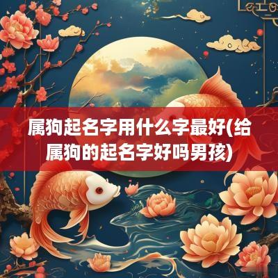 属狗起名字用什么字最好(给属狗的起名字好吗男孩)