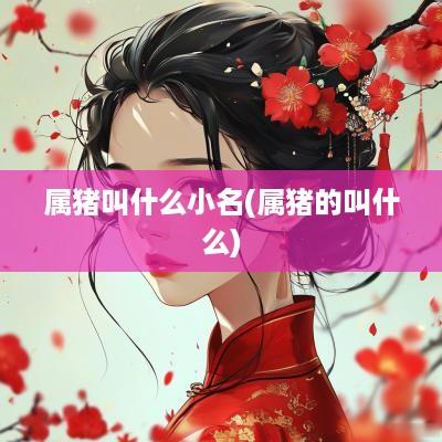 属猪叫什么小名(属猪的叫什么)