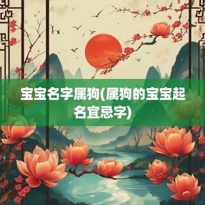 宝宝名字属狗(属狗的宝宝起名宜忌字)