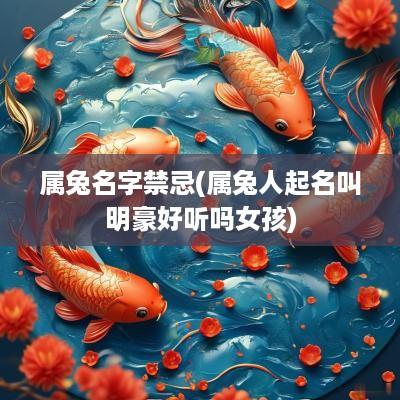属兔名字禁忌(属兔人起名叫明豪好听吗女孩)