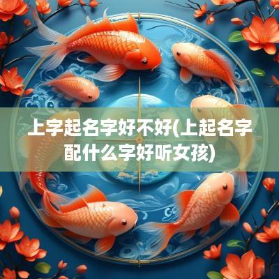 上字起名字好不好(上起名字配什么字好听女孩)