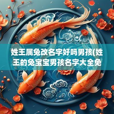 姓王属兔改名字好吗男孩(姓王的兔宝宝男孩名字大全免费)
