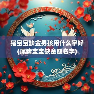 猪宝宝缺金男孩用什么字好(属猪宝宝缺金取名字)