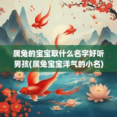 属兔的宝宝取什么名字好听男孩(属兔宝宝洋气的小名)