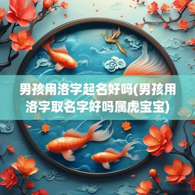 男孩用洛字起名好吗(男孩用洛字取名字好吗属虎宝宝)