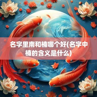 名字里南和楠哪个好(名字中楠的含义是什么)