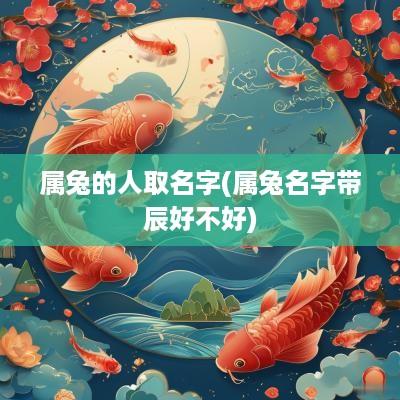 属兔的人取名字(属兔名字带辰好不好)