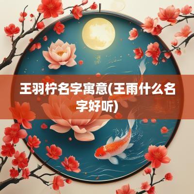 王羽柠名字寓意(王雨什么名字好听)