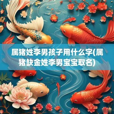 属猪姓李男孩子用什么字(属猪缺金姓李男宝宝取名) 属猪姓李男孩子用什么字(属猪缺金姓李男宝宝取名)