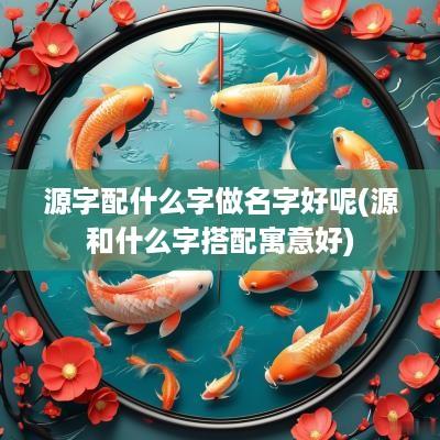 源字配什么字做名字好呢(源和什么字搭配寓意好)