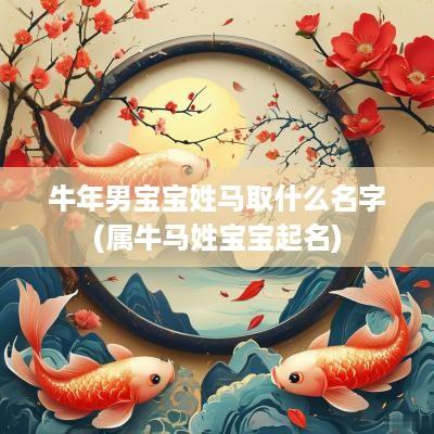 蛇年男宝宝姓马取什么名字(属牛马姓宝宝起名)