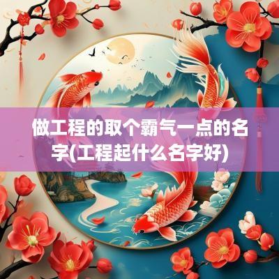 做工程的取个霸气一点的名字(工程起什么名字好)
