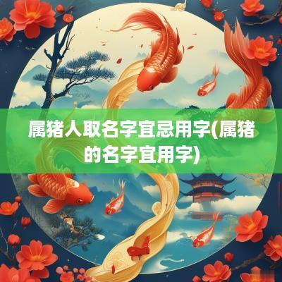 属猪人取名字宜忌用字(属猪的名字宜用字)
