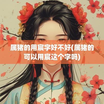 属猪的用宸字好不好(属猪的可以用宸这个字吗)