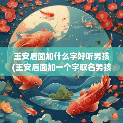 王安后面加什么字好听男孩(王安后面加一个字取名男孩)