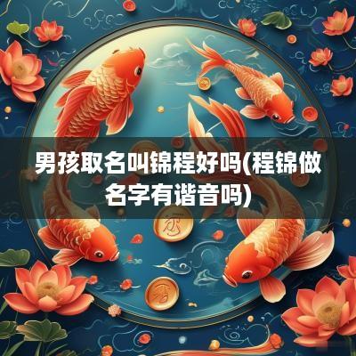 男孩取名叫锦程好吗(程锦做名字有谐音吗)