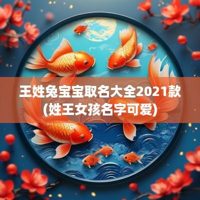 王姓兔宝宝取名大全2025款(姓王女孩名字可爱)