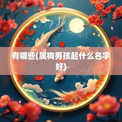 有哪些(属狗男孩起什么名字好)