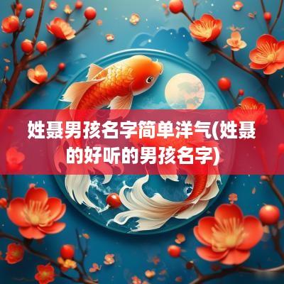 姓聂男孩名字简单洋气(姓聂的好听的男孩名字)