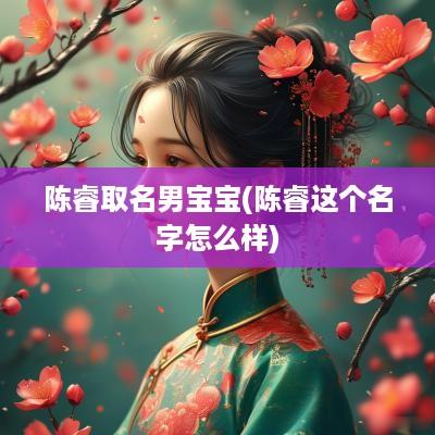 陈睿取名男宝宝(陈睿这个名字怎么样)