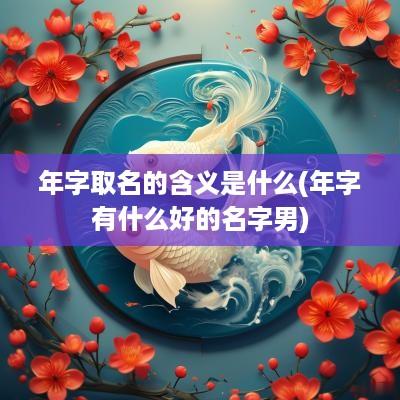 年字取名的含义是什么(年字有什么好的名字男)
