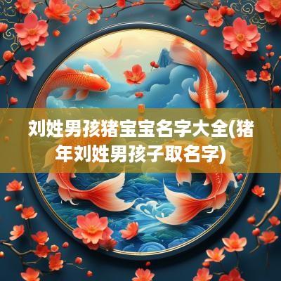 刘姓男孩猪宝宝名字大全(猪年刘姓男孩子取名字)