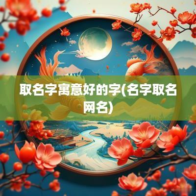取名字寓意好的字(名字取名网名)