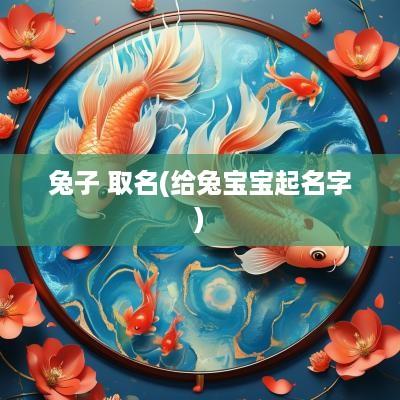 兔子 取名(给兔宝宝起名字)