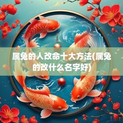 属兔的人改命十大方法(属兔的改什么名字好)