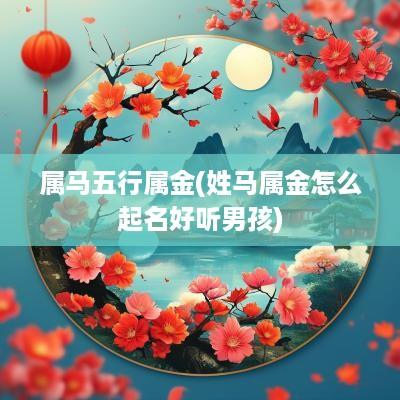属马五行属金(姓马属金怎么起名好听男孩)