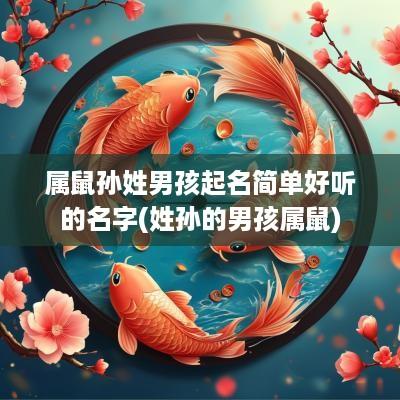 属鼠孙姓男孩起名简单好听的名字(姓孙的男孩属鼠)