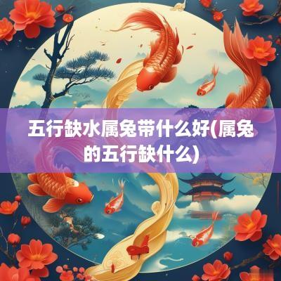 五行缺水属兔带什么好(属兔的五行缺什么)