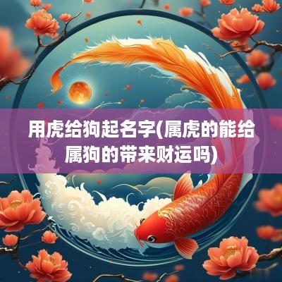 用虎给狗起名字(属虎的能给属狗的带来财运吗)