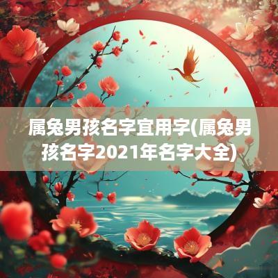 属兔男孩名字宜用字(属兔男孩名字2025年名字大全)