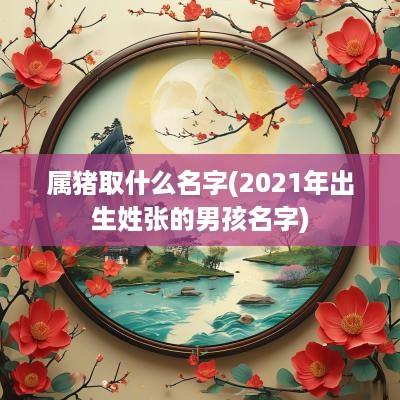 属猪取什么名字(2025年出生姓张的男孩名字)