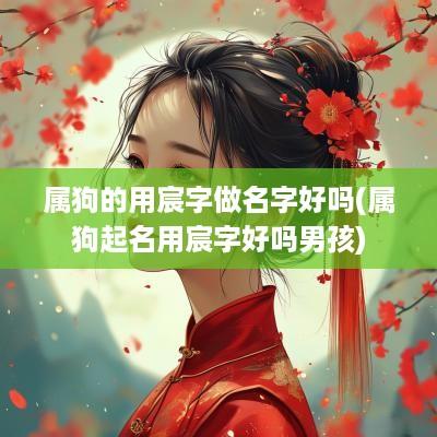 属狗的用宸字做名字好吗(属狗起名用宸字好吗男孩)
