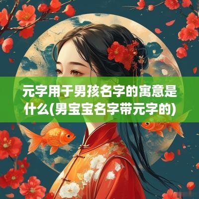 元字用于男孩名字的寓意是什么(男宝宝名字带元字的)