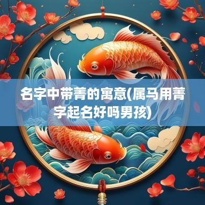 名字中带菁的寓意(属马用菁字起名好吗男孩)