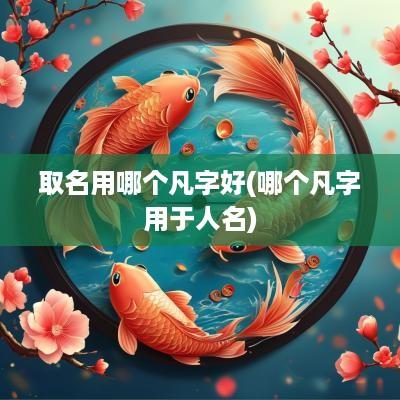 取名用哪个凡字好(哪个凡字用于人名)