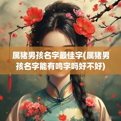 属猪男孩名字最佳字(属猪男孩名字能有鸣字吗好不好)