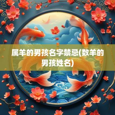 属羊的男孩名字禁忌(数羊的男孩姓名)