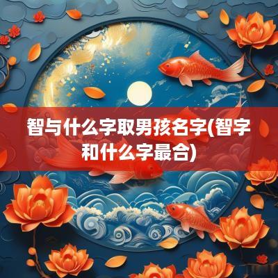 智与什么字取男孩名字(智字和什么字最合)