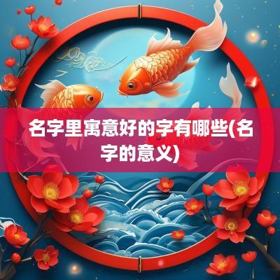 名字里寓意好的字有哪些(名字的意义)