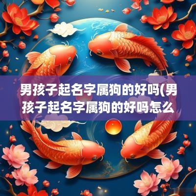 男孩子起名字属狗的好吗(男孩子起名字属狗的好吗怎么起)