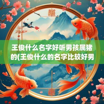 王俊什么名字好听男孩属猪的(王俊什么的名字比较好男)