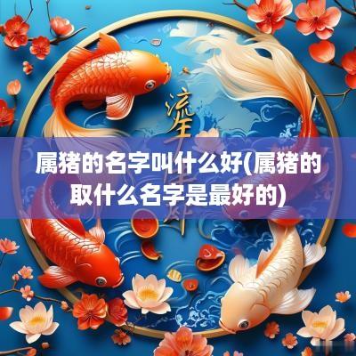 属猪的名字叫什么好(属猪的取什么名字是最好的)