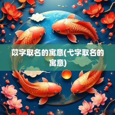 苡字取名的寓意(弋字取名的寓意)