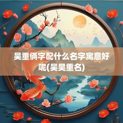 吴重俩字配什么名字寓意好呢(吴昊重名)
